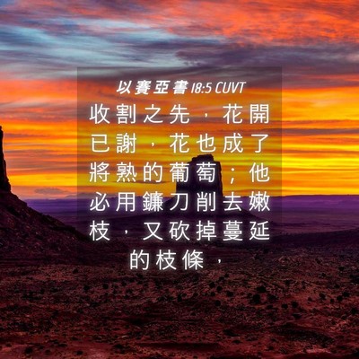 Picture 04 - 以 賽 亞 書 18:5 CUVT - 收 割 之 先 ， 花 開 已 謝 ， 花 也 - Bible Verse Picture