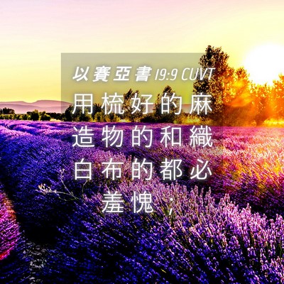 Picture 04 - 以 賽 亞 書 19:9 CUVT - 用 梳 好 的 麻 造 物 的 和 織 白 布 - Bible Verse Picture