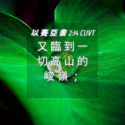Picture 04 - 以 賽 亞 書 2:14 CUVT - 又 臨 到 一 切 高 山 的 峻 嶺 - Bible Verse Picture