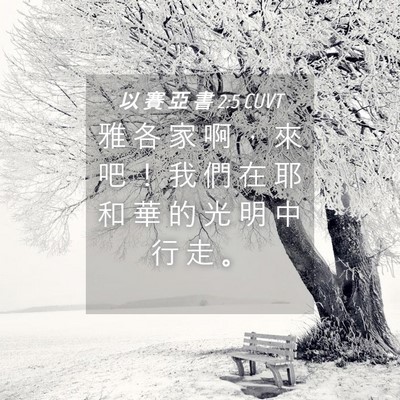 Picture 04 - 以 賽 亞 書 2:5 CUVT - 雅 各 家 啊 ， 來 吧 ！ 我 們 在 耶 - Bible Verse Picture