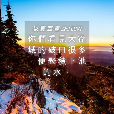 Picture 04 - 以 賽 亞 書 22:9 CUVT - 你 們 看 見 大 衛 城 的 破 口 很 多 - Bible Verse Picture