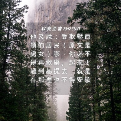 Picture 04 - 以 賽 亞 書 23:12 CUVT - 他 又 說 ： 受 欺 壓 西 頓 的 居 民 - Bible Verse Picture