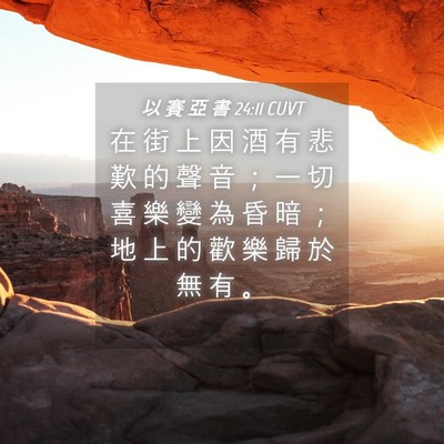 Picture 04 - 以 賽 亞 書 24:11 CUVT - 在 街 上 因 酒 有 悲 歎 的 聲 音 ； - Bible Verse Picture