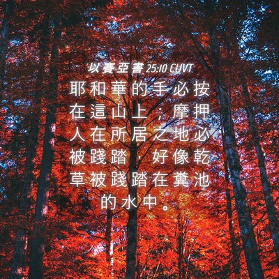 Picture 04 - 以 賽 亞 書 25:10 CUVT - 耶 和 華 的 手 必 按 在 這 山 上 ； - Bible Verse Picture