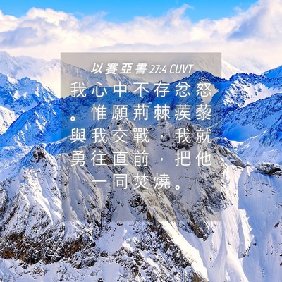 Picture 04 - 以 賽 亞 書 27:4 CUVT - 我 心 中 不 存 忿 怒 。 惟 願 荊 棘 - Bible Verse Picture