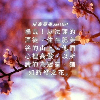 Picture 04 - 以 賽 亞 書 28:1 CUVT - 禍 哉 ！ 以 法 蓮 的 酒 徒 ， 住 在 - Bible Verse Picture