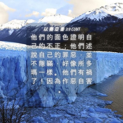 Picture 04 - 以 賽 亞 書 3:9 CUVT - 他 們 的 面 色 證 明 自 己 的 不 正 - Bible Verse Picture