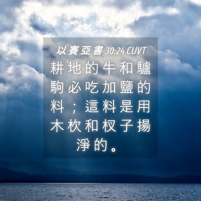 Picture 04 - 以 賽 亞 書 30:24 CUVT - 耕 地 的 牛 和 驢 駒 必 吃 加 鹽 的 - Bible Verse Picture