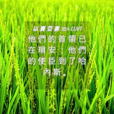 Picture 04 - 以 賽 亞 書 30:4 CUVT - 他 們 的 首 領 已 在 瑣 安 ； 他 們 - Bible Verse Picture