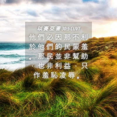 Picture 04 - 以 賽 亞 書 30:5 CUVT - 他 們 必 因 那 不 利 於 他 們 的 民 - Bible Verse Picture