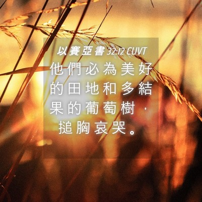 Picture 04 - 以 賽 亞 書 32:12 CUVT - 他 們 必 為 美 好 的 田 地 和 多 結 - Bible Verse Picture