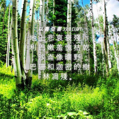 Picture 04 - 以 賽 亞 書 33:9 CUVT - 地 上 悲 哀 衰 殘 ； 利 巴 嫩 羞 愧 - Bible Verse Picture