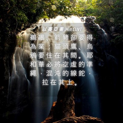 Picture 04 - 以 賽 亞 書 34:11 CUVT - 鵜 鶘 、 箭 豬 卻 要 得 為 業 ； 貓 - Bible Verse Picture