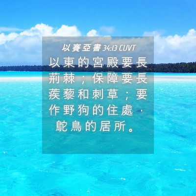 Picture 04 - 以 賽 亞 書 34:13 CUVT - 以 東 的 宮 殿 要 長 荊 棘 ； 保 障 - Bible Verse Picture