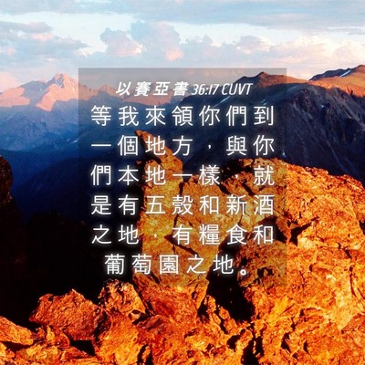 Picture 04 - 以 賽 亞 書 36:17 CUVT - 等 我 來 領 你 們 到 一 個 地 方 ， - Bible Verse Picture