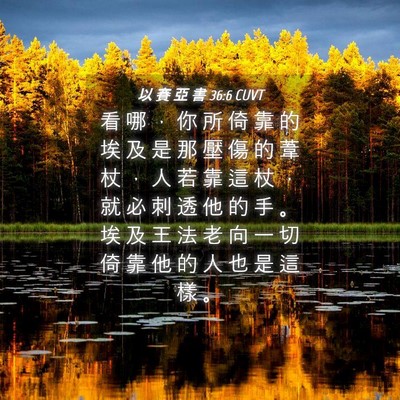 Picture 04 - 以 賽 亞 書 36:6 CUVT - 看 哪 ， 你 所 倚 靠 的 埃 及 是 那 - Bible Verse Picture