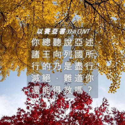 Picture 04 - 以 賽 亞 書 37:11 CUVT - 你 總 聽 說 亞 述 諸 王 向 列 國 所 - Bible Verse Picture
