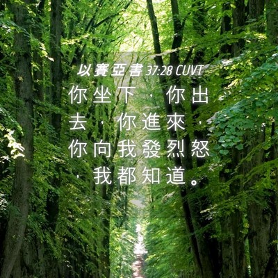 Picture 04 - 以 賽 亞 書 37:28 CUVT - 你 坐 下 ， 你 出 去 ， 你 進 來 ， - Bible Verse Picture