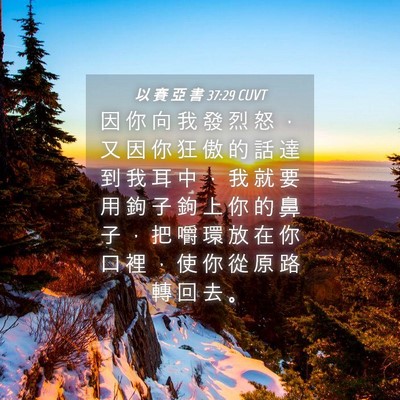 Picture 04 - 以 賽 亞 書 37:29 CUVT - 因 你 向 我 發 烈 怒 ， 又 因 你 狂 - Bible Verse Picture