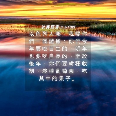 Picture 04 - 以 賽 亞 書 37:30 CUVT - 以 色 列 人 哪 ， 我 賜 你 們 一 個 - Bible Verse Picture