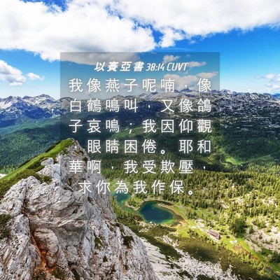 Picture 04 - 以 賽 亞 書 38:14 CUVT - 我 像 燕 子 呢 喃 ， 像 白 鶴 鳴 叫 - Bible Verse Picture
