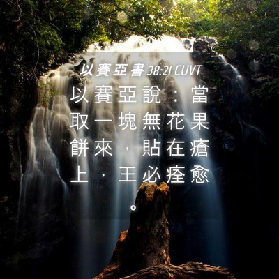 Picture 04 - 以 賽 亞 書 38:21 CUVT - 以 賽 亞 說 ： 當 取 一 塊 無 花 果 - Bible Verse Picture