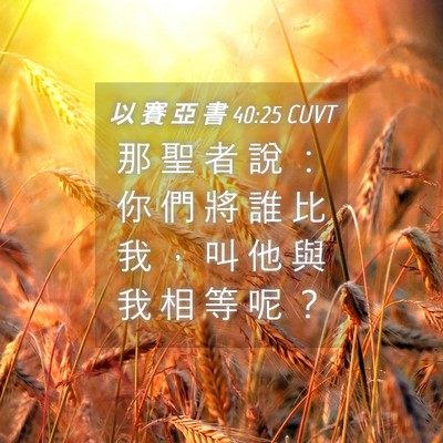 Picture 04 - 以 賽 亞 書 40:25 CUVT - 那 聖 者 說 ： 你 們 將 誰 比 我 ， - Bible Verse Picture