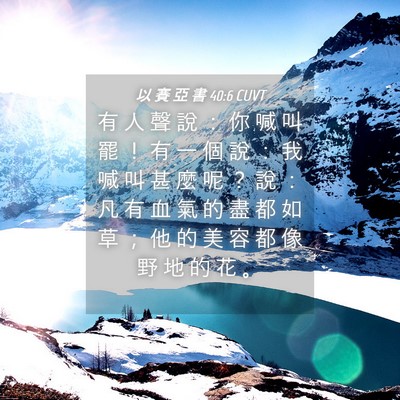 Picture 04 - 以 賽 亞 書 40:6 CUVT - 有 人 聲 說 ： 你 喊 叫 罷 ！ 有 一 - Bible Verse Picture