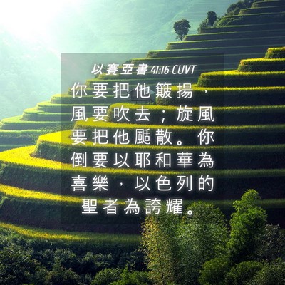 Picture 04 - 以 賽 亞 書 41:16 CUVT - 你 要 把 他 簸 揚 ， 風 要 吹 去 ； - Bible Verse Picture