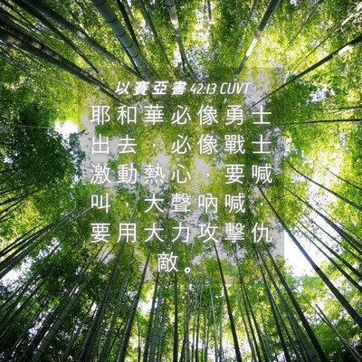 Picture 04 - 以 賽 亞 書 42:13 CUVT - 耶 和 華 必 像 勇 士 出 去 ， 必 像 - Bible Verse Picture