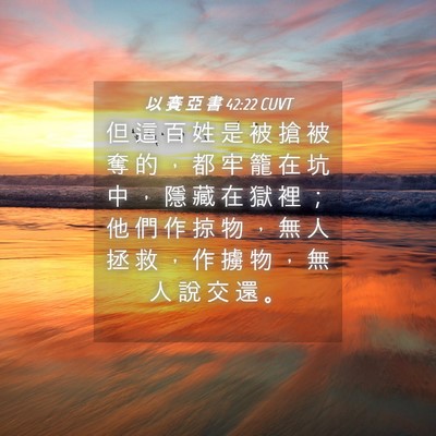 Picture 04 - 以 賽 亞 書 42:22 CUVT - 但 這 百 姓 是 被 搶 被 奪 的 ， 都 - Bible Verse Picture