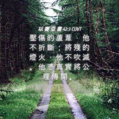 Picture 04 - 以 賽 亞 書 42:3 CUVT - 壓 傷 的 蘆 葦 ， 他 不 折 斷 ； 將 - Bible Verse Picture