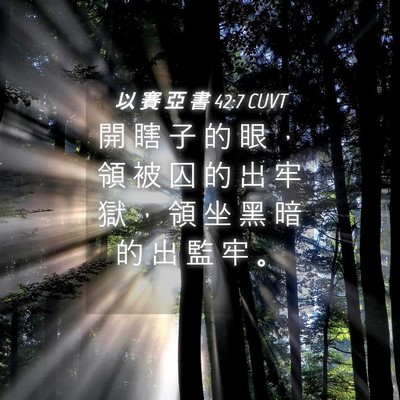 Picture 04 - 以 賽 亞 書 42:7 CUVT - 開 瞎 子 的 眼 ， 領 被 囚 的 出 牢 - Bible Verse Picture