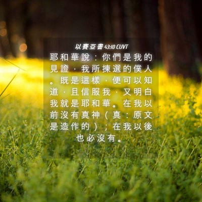 Picture 04 - 以 賽 亞 書 43:10 CUVT - 耶 和 華 說 ： 你 們 是 我 的 見 證 - Bible Verse Picture