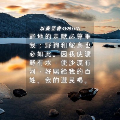 Picture 04 - 以 賽 亞 書 43:20 CUVT - 野 地 的 走 獸 必 尊 重 我 ； 野 狗 - Bible Verse Picture