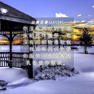 Picture 04 - 以 賽 亞 書 43:23 CUVT - 你 沒 有 將 你 的 羊 帶 來 給 我 作 - Bible Verse Picture