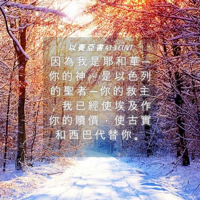 Picture 04 - 以 賽 亞 書 43:3 CUVT - 因 為 我 是 耶 和 華 ─ 你 的 神 ， - Bible Verse Picture