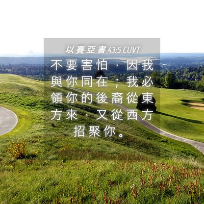 Picture 04 - 以 賽 亞 書 43:5 CUVT - 不 要 害 怕 ， 因 我 與 你 同 在 ； - Bible Verse Picture