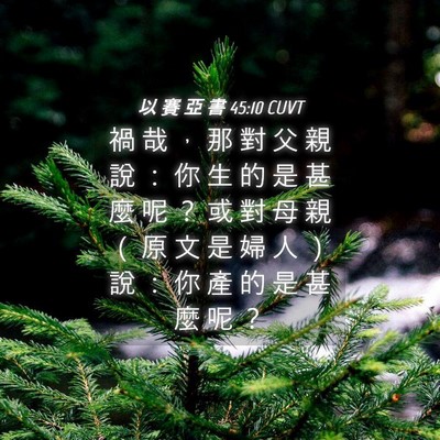 Picture 04 - 以 賽 亞 書 45:10 CUVT - 禍 哉 ， 那 對 父 親 說 ： 你 生 的 - Bible Verse Picture
