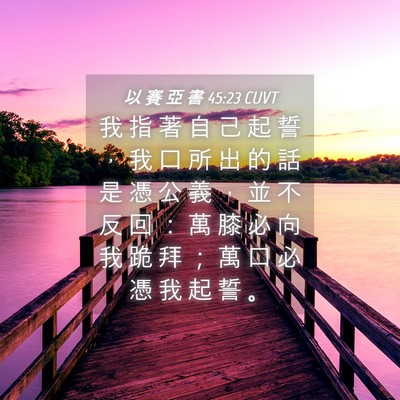 Picture 04 - 以 賽 亞 書 45:23 CUVT - 我 指 著 自 己 起 誓 ， 我 口 所 出 - Bible Verse Picture