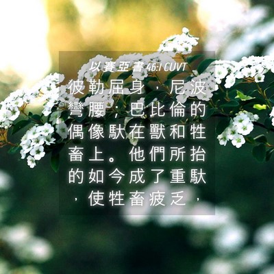 Picture 04 - 以 賽 亞 書 46:1 CUVT - 彼 勒 屈 身 ， 尼 波 彎 腰 ； 巴 比 - Bible Verse Picture