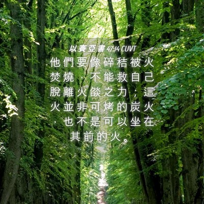 Picture 04 - 以 賽 亞 書 47:14 CUVT - 他 們 要 像 碎 秸 被 火 焚 燒 ， 不 - Bible Verse Picture