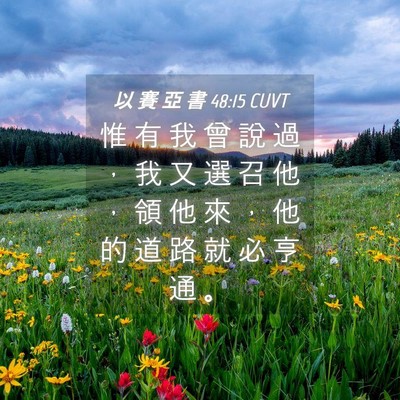 Picture 04 - 以 賽 亞 書 48:15 CUVT - 惟 有 我 曾 說 過 ， 我 又 選 召 他 - Bible Verse Picture