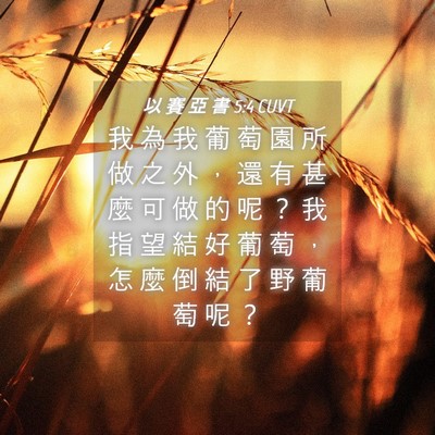 Picture 04 - 以 賽 亞 書 5:4 CUVT - 我 為 我 葡 萄 園 所 做 之 外 ， 還 - Bible Verse Picture