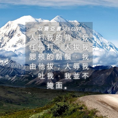 Picture 04 - 以 賽 亞 書 50:6 CUVT - 人 打 我 的 背 ， 我 任 他 打 ； 人 - Bible Verse Picture