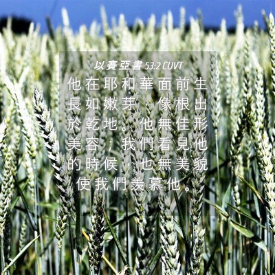 Picture 04 - 以 賽 亞 書 53:2 CUVT - 他 在 耶 和 華 面 前 生 長 如 嫩 芽 - Bible Verse Picture