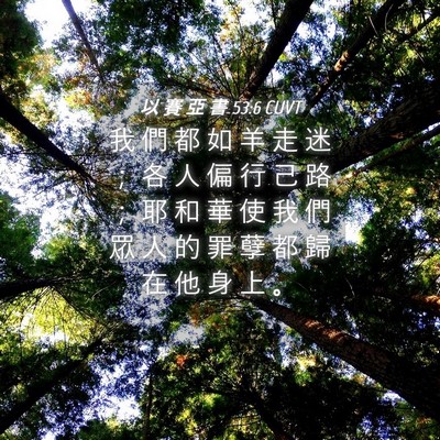 Picture 04 - 以 賽 亞 書 53:6 CUVT - 我 們 都 如 羊 走 迷 ； 各 人 偏 行 - Bible Verse Picture