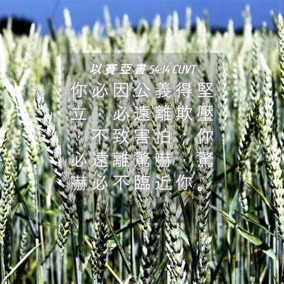 Picture 04 - 以 賽 亞 書 54:14 CUVT - 你 必 因 公 義 得 堅 立 ， 必 遠 離 - Bible Verse Picture