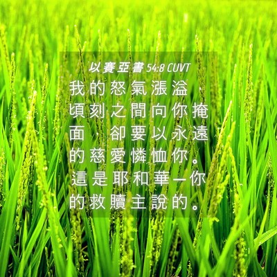 Picture 04 - 以 賽 亞 書 54:8 CUVT - 我 的 怒 氣 漲 溢 ， 頃 刻 之 間 向 - Bible Verse Picture