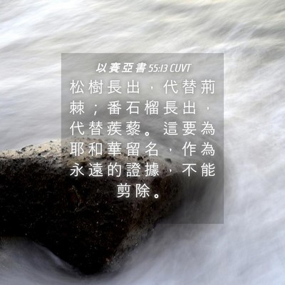 Picture 04 - 以 賽 亞 書 55:13 CUVT - 松 樹 長 出 ， 代 替 荊 棘 ； 番 石 - Bible Verse Picture